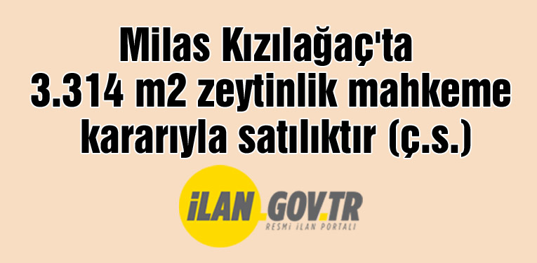 Milas Kızılağaç'ta 3.314 m2 zeytinlik mahkeme kararıyla satılıktır (çoklu satış)