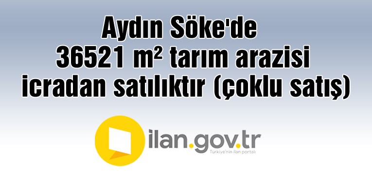 Aydın Söke'de 36521 m² tarım arazisi icradan satılıktır (çoklu satış)